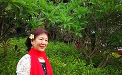 仙王的日常生活樱花